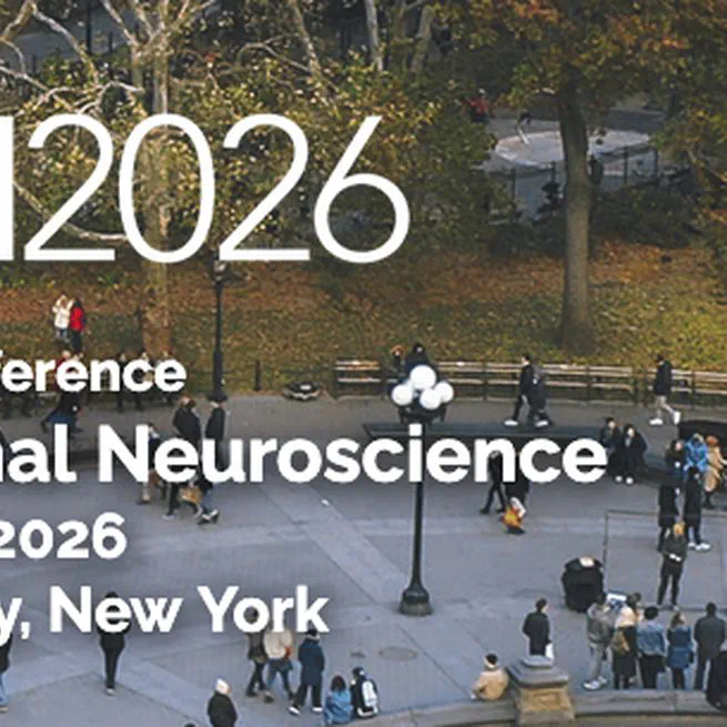 In silico neuroscience: an emerging paradigm for brain discovery